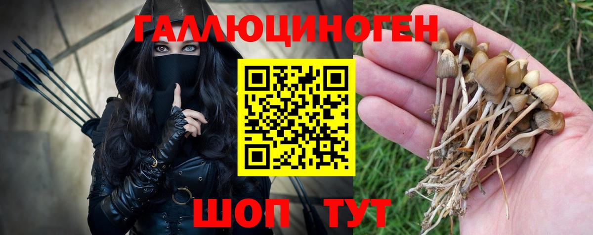 Галлюциногенные грибы Psilocybe  Вход с VPN  где продают   Кольчугино 